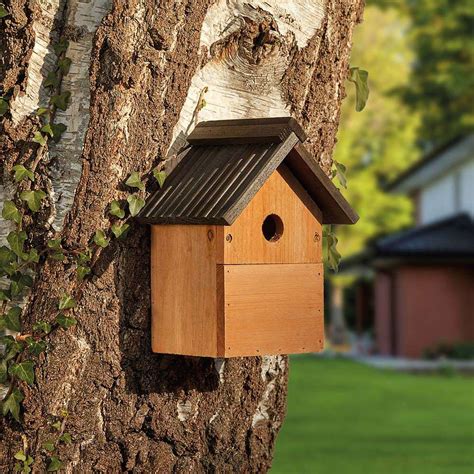 metal bird nest box|best nesting box for birds.